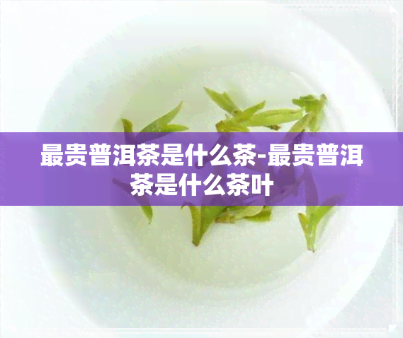 最贵普洱茶是什么茶-最贵普洱茶是什么茶叶