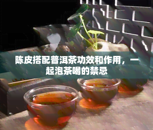 陈皮搭配普洱茶功效和作用，一起泡茶喝的禁忌