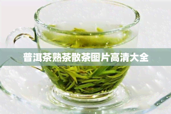 普洱茶熟茶散茶图片高清大全