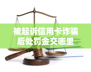 被起诉信用卡诈骗后处罚金交哪里