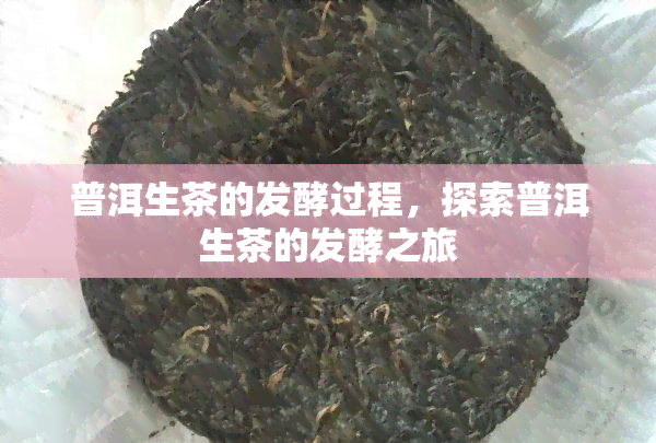 普洱生茶的发酵过程，探索普洱生茶的发酵之旅