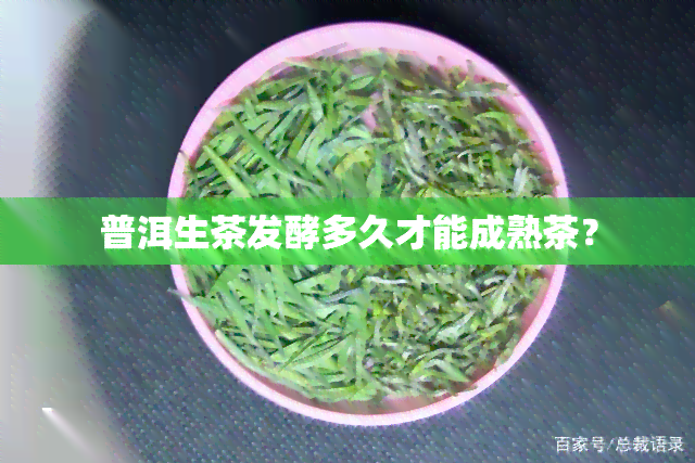 普洱生茶发酵多久才能成熟茶？