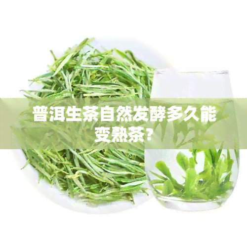 普洱生茶自然发酵多久能变熟茶？