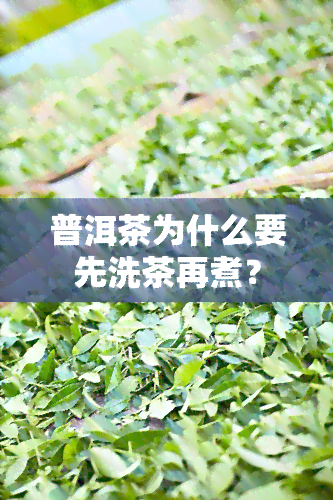 普洱茶为什么要先洗茶再煮？