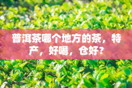 普洱茶哪个地方的茶，特产，好喝，仓好？