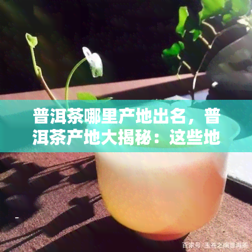 普洱茶哪里产地出名，普洱茶产地大揭秘：这些地方才是出名之所在！