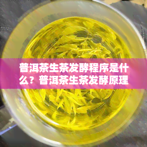 普洱茶生茶发酵程序是什么？普洱茶生茶发酵原理，普洱生茶发酵多久成熟？