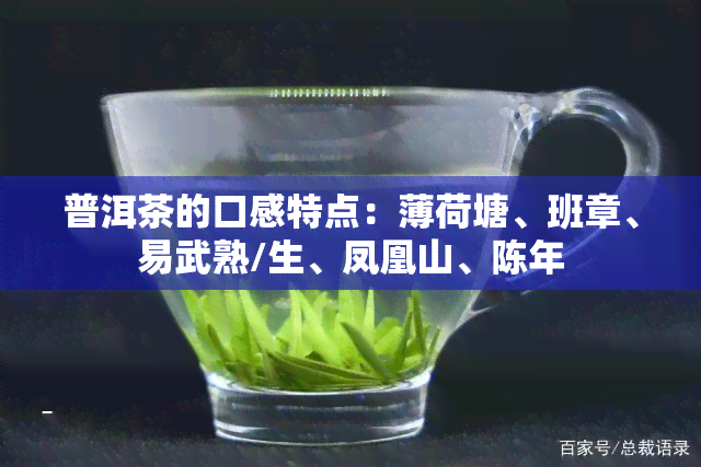 普洱茶的口感特点：薄荷塘、班章、易武熟/生、凤凰山、陈年