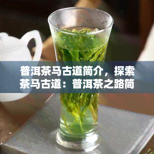 普洱茶马古道简介，探索茶马古道：普洱茶之路简介