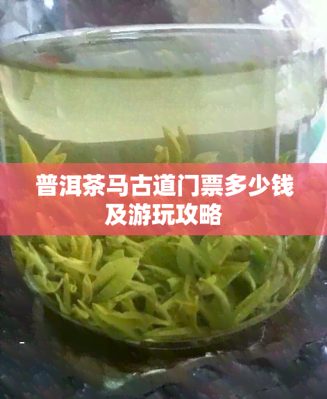 普洱茶马古道门票多少钱及游玩攻略