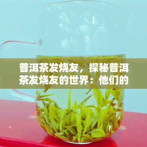 普洱茶发烧友，探秘普洱茶发烧友的世界：他们的热情与执着