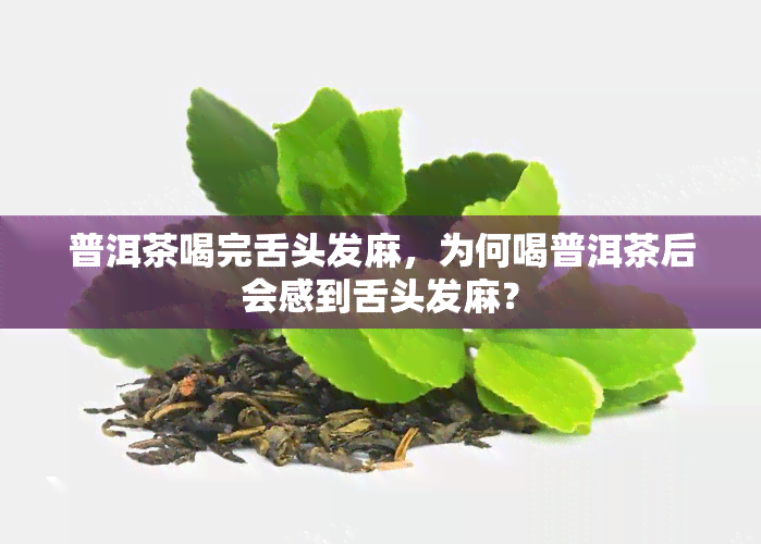 普洱茶喝完舌头发麻，为何喝普洱茶后会感到舌头发麻？