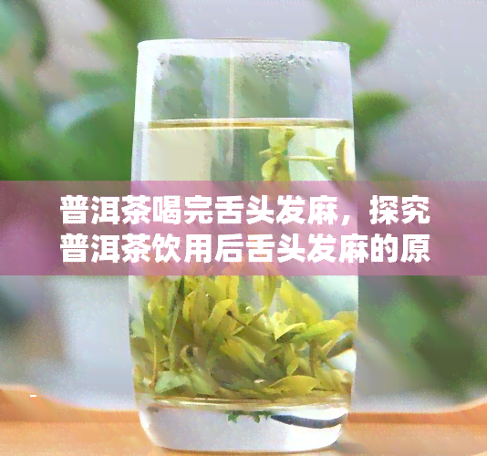 普洱茶喝完舌头发麻，探究普洱茶饮用后舌头发麻的原因与解决方法