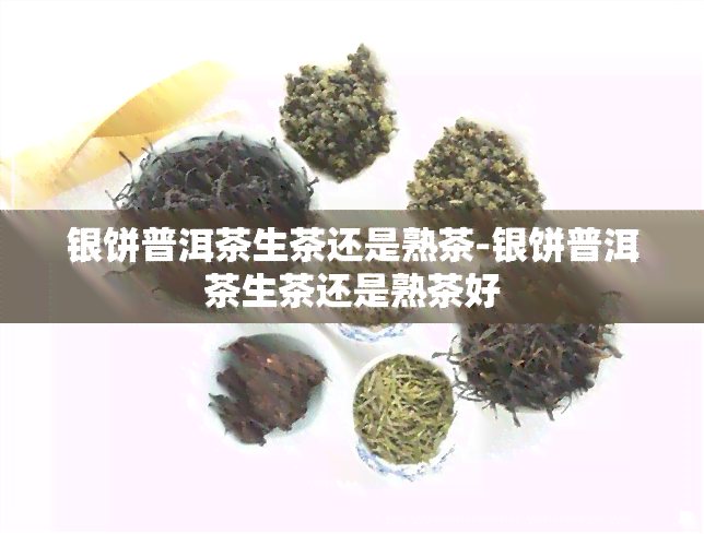 银饼普洱茶生茶还是熟茶-银饼普洱茶生茶还是熟茶好