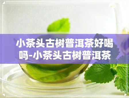 小茶头古树普洱茶好喝吗-小茶头古树普洱茶好喝吗怎么样