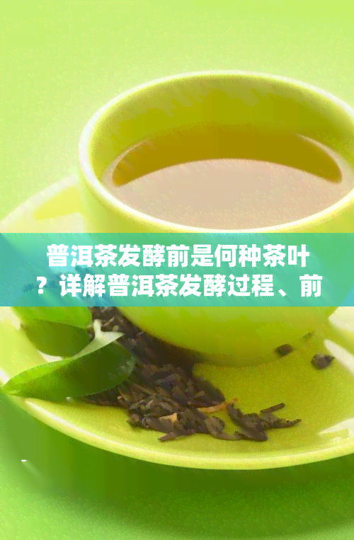 普洱茶发酵前是何种茶叶？详解普洱茶发酵过程、前发酵与后发酵区别及工艺流程