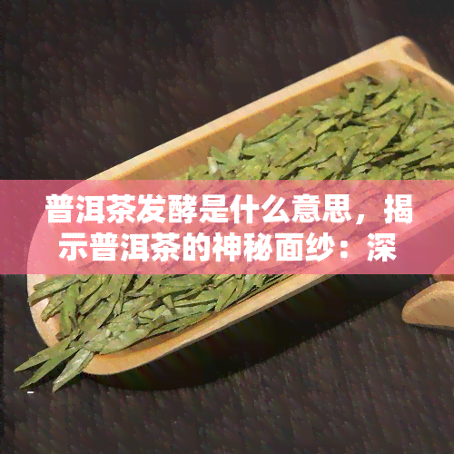 普洱茶发酵是什么意思，揭示普洱茶的神秘面纱：深度解析发酵过程