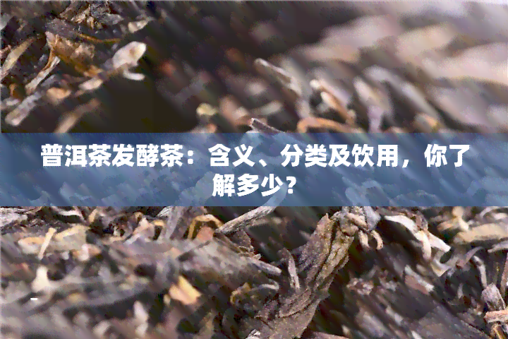 普洱茶发酵茶：含义、分类及饮用，你了解多少？