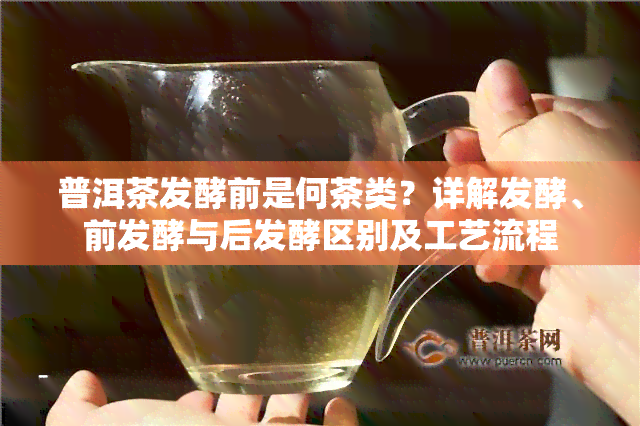 普洱茶发酵前是何茶类？详解发酵、前发酵与后发酵区别及工艺流程