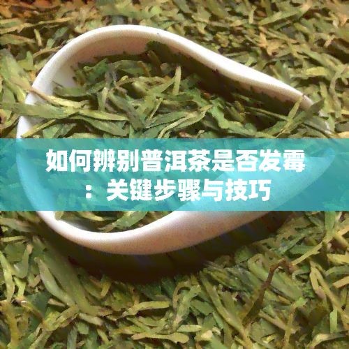 如何辨别普洱茶是否发霉：关键步骤与技巧