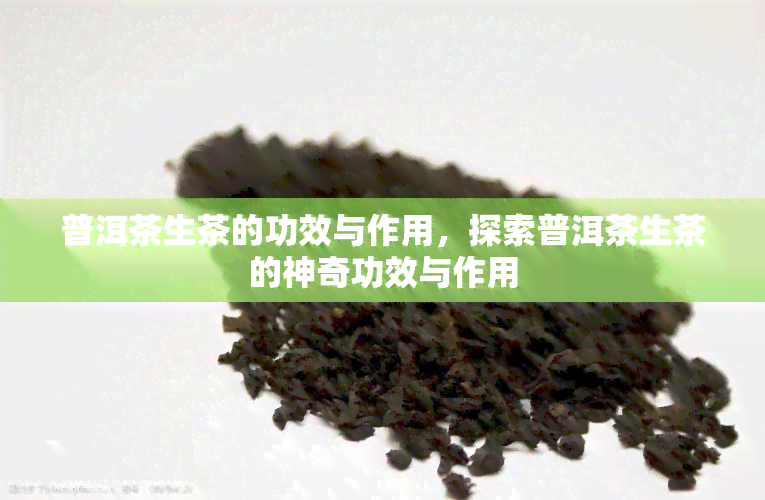 普洱茶生茶的功效与作用，探索普洱茶生茶的神奇功效与作用