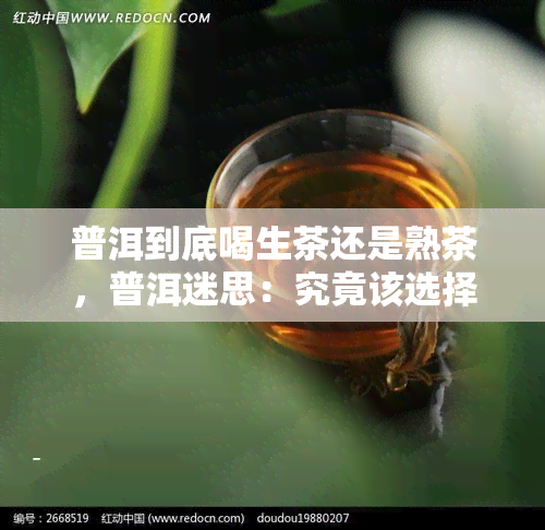 普洱到底喝生茶还是熟茶，普洱迷思：究竟该选择生茶还是熟茶？