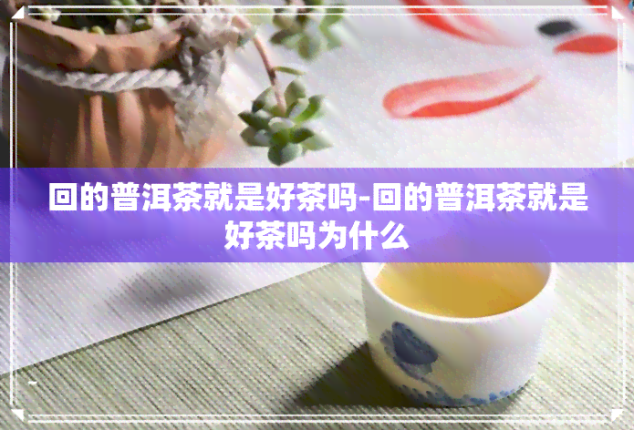 回的普洱茶就是好茶吗-回的普洱茶就是好茶吗为什么