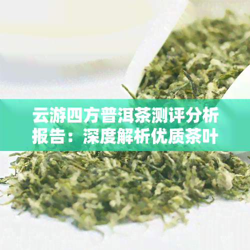 云游四方普洱茶测评分析报告：深度解析优质茶叶