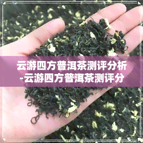 云游四方普洱茶测评分析-云游四方普洱茶测评分析报告