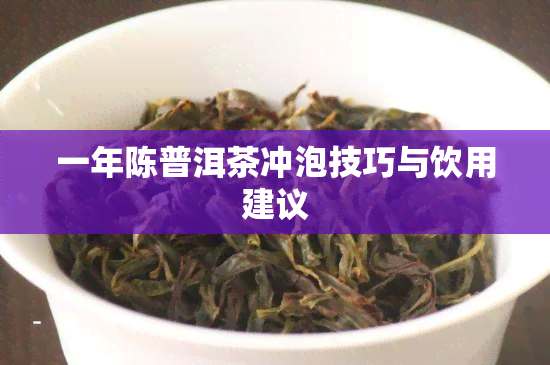 一年陈普洱茶冲泡技巧与饮用建议