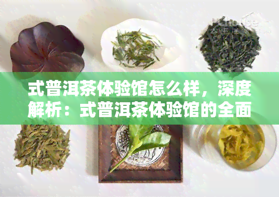 式普洱茶体验馆怎么样，深度解析：式普洱茶体验馆的全面评测与评价