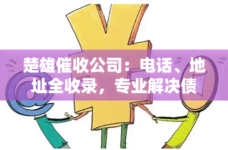 楚雄公司：电话、地址全收录，专业解决债务问题