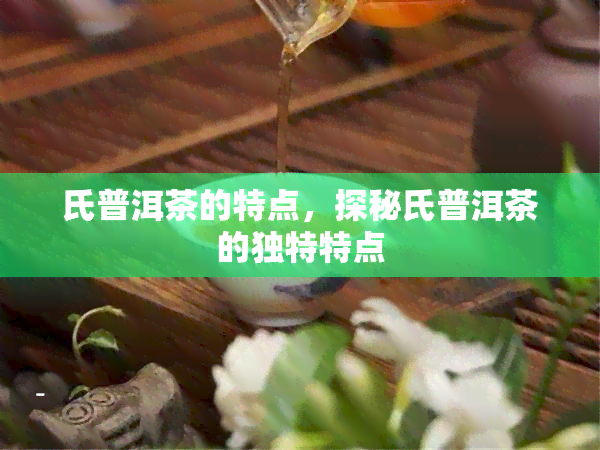 氏普洱茶的特点，探秘氏普洱茶的独特特点