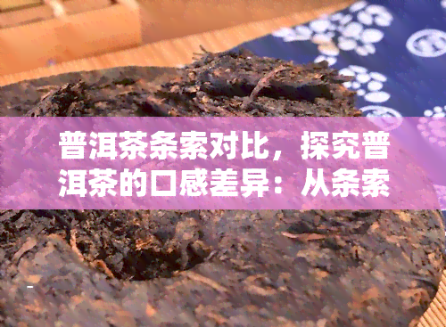 普洱茶条索对比，探究普洱茶的口感差异：从条索对比开始