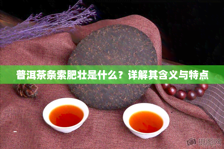 普洱茶条索肥壮是什么？详解其含义与特点