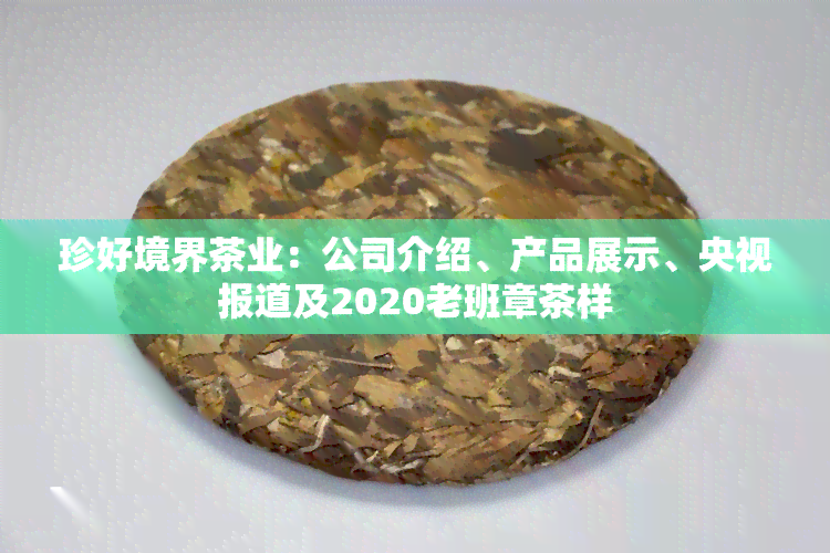 珍好境界茶业：公司介绍、产品展示、央视报道及2020老班章茶样