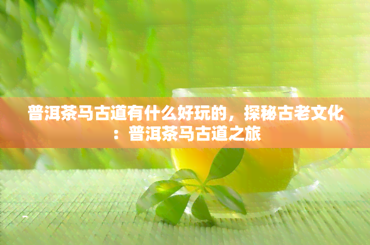 普洱茶马古道有什么好玩的，探秘古老文化：普洱茶马古道之旅