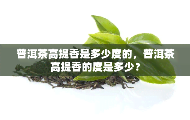 普洱茶高提香是多少度的，普洱茶高提香的度是多少？