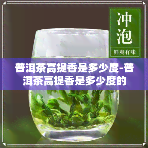 普洱茶高提香是多少度-普洱茶高提香是多少度的