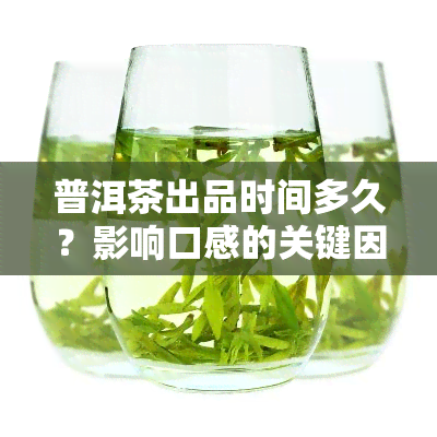 普洱茶出品时间多久？影响口感的关键因素解析