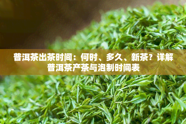 普洱茶出茶时间：何时、多久、新茶？详解普洱茶产茶与泡制时间表