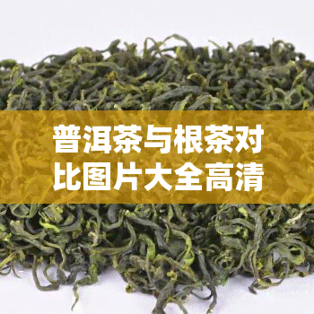 普洱茶与根茶对比图片大全高清：能否一起泡水？