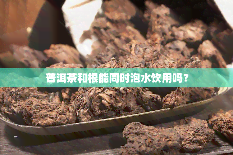 普洱茶和根能同时泡水饮用吗？