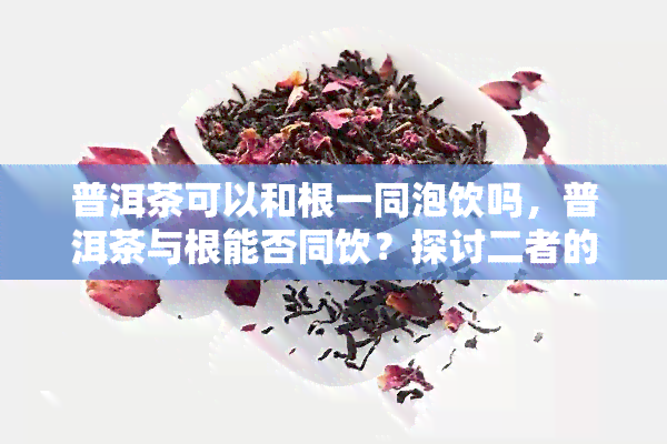 普洱茶可以和根一同泡饮吗，普洱茶与根能否同饮？探讨二者的搭配效果