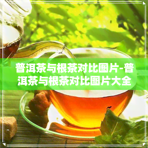 普洱茶与根茶对比图片-普洱茶与根茶对比图片大全