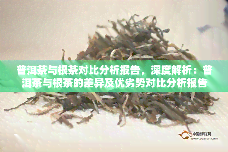 普洱茶与根茶对比分析报告，深度解析：普洱茶与根茶的差异及优劣势对比分析报告