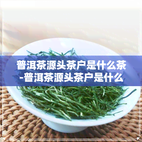 普洱茶源头茶户是什么茶-普洱茶源头茶户是什么茶叶