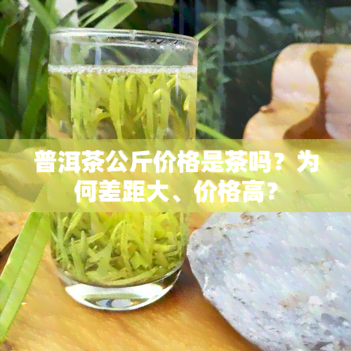 普洱茶公斤价格是茶吗？为何差距大、价格高？