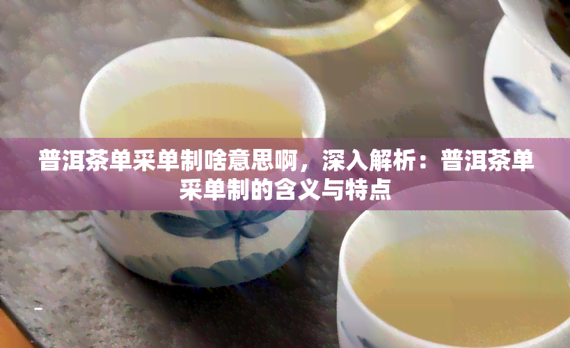 普洱茶单采单制啥意思啊，深入解析：普洱茶单采单制的含义与特点