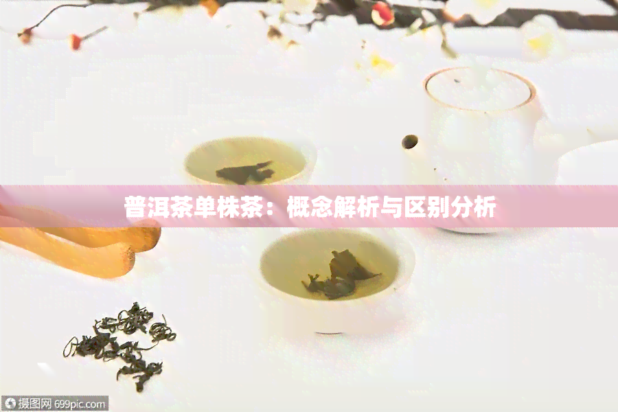 普洱茶单株茶：概念解析与区别分析